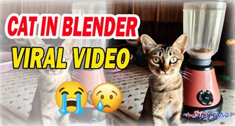 cat blender full video uncensored|cat in blender unblurred.